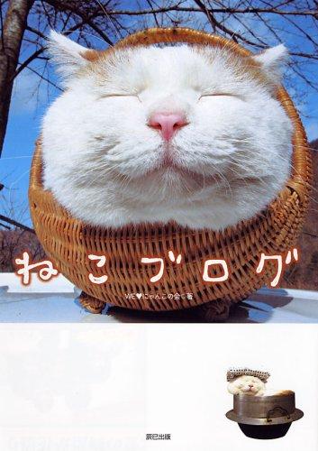 ねこブログ