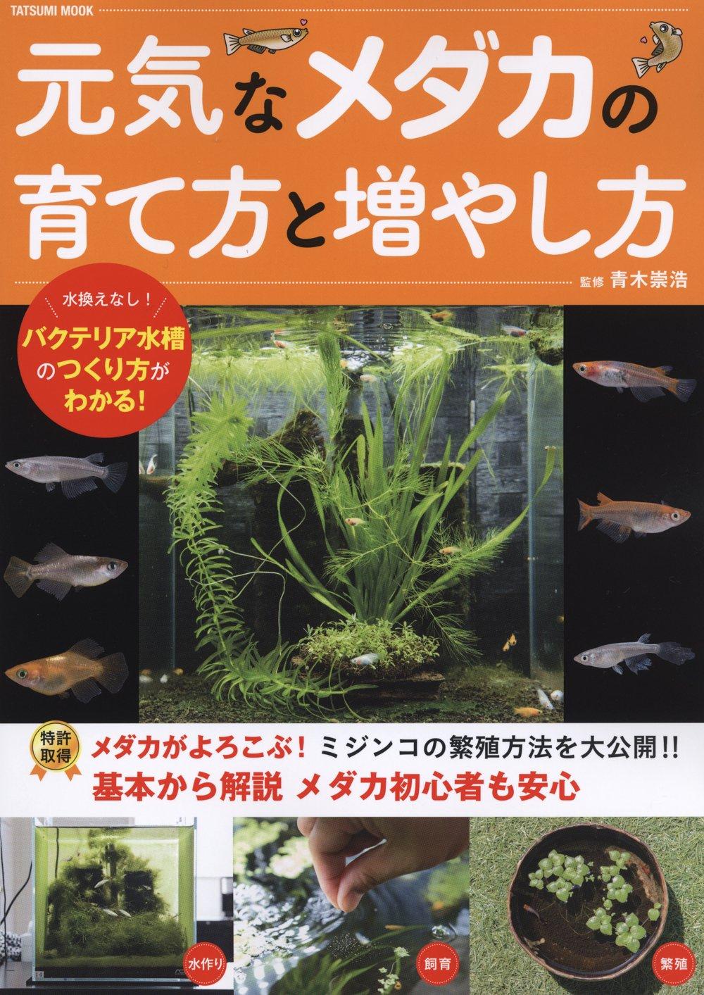 元気なメダカの育て方と増やし方(タツミムック)